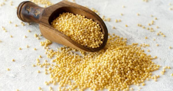 Organic Whole Grain Millet - Image 2