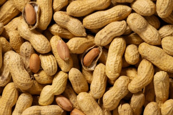 Organic Raw Whole Peanuts with Shell/Skin - Image 4