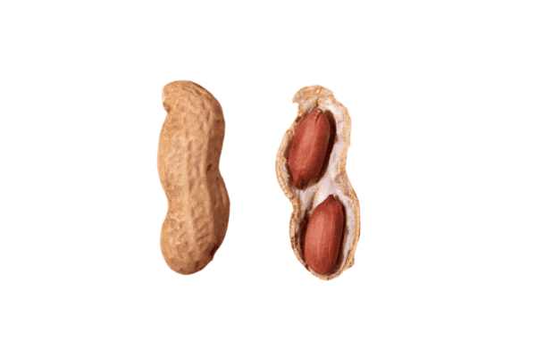 Organic Raw Whole Peanuts with Shell/Skin - Image 7