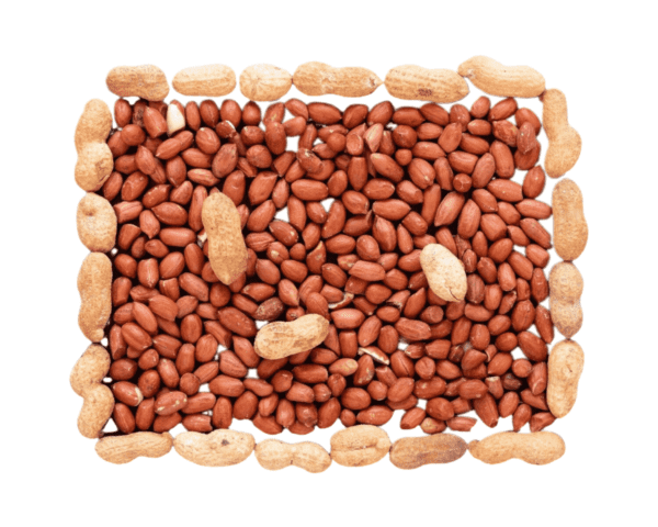 Organic Raw Whole Peanuts with Shell/Skin - Image 5